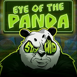 Eye of the Panda